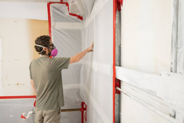 Best Basement Mold Removal  in USA